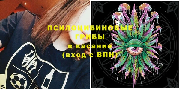 прущие крисы Абаза