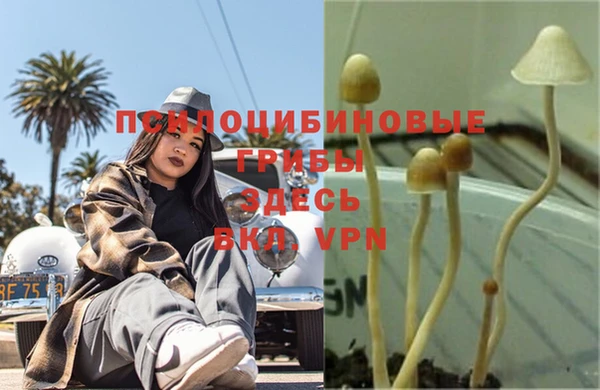 молекула духа Абдулино