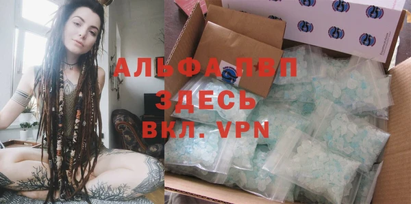 прущие крисы Абаза